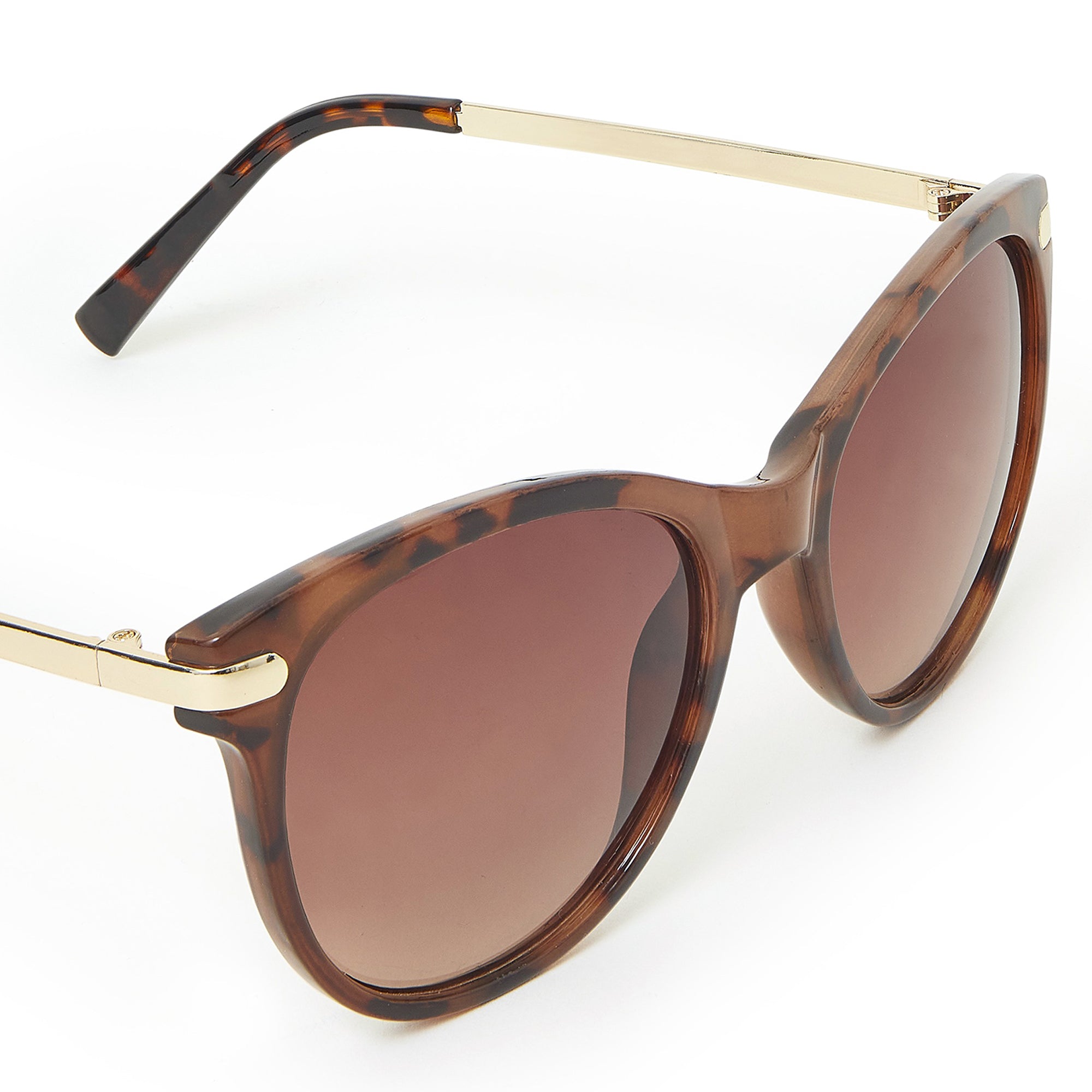 Classic Metal Arm Sunglasses Features