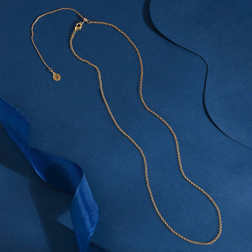 Accessorize London Women's Z Real Gold Plated Belcher Chain Necklace