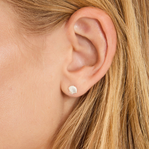 925 Sterling Silver Seashell Stud Earrings