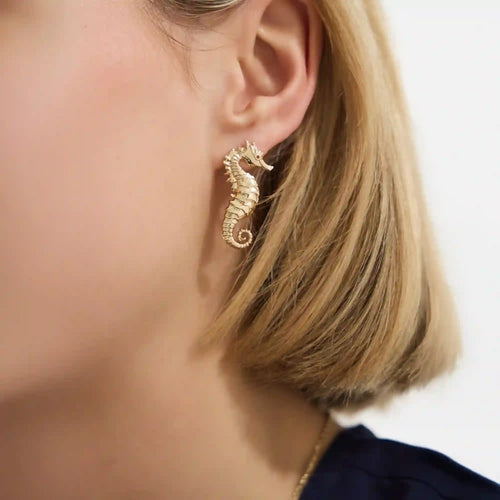 Seahorse Stud Earrings
