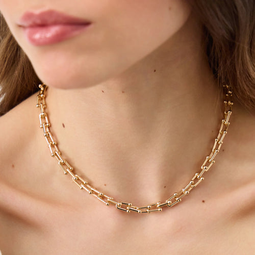 Carabiner Link Chain Necklace