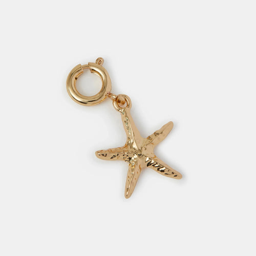 Starfish Jewellery Charm