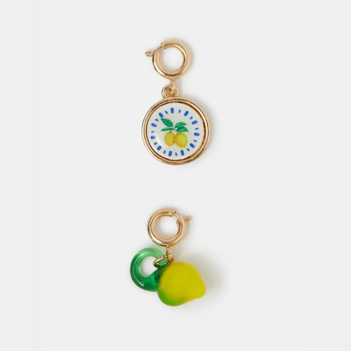 Lemon Jewellery Charms Pack of 2