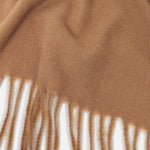 Accessorize London Women's Camel Wilton Supersoft Scarf