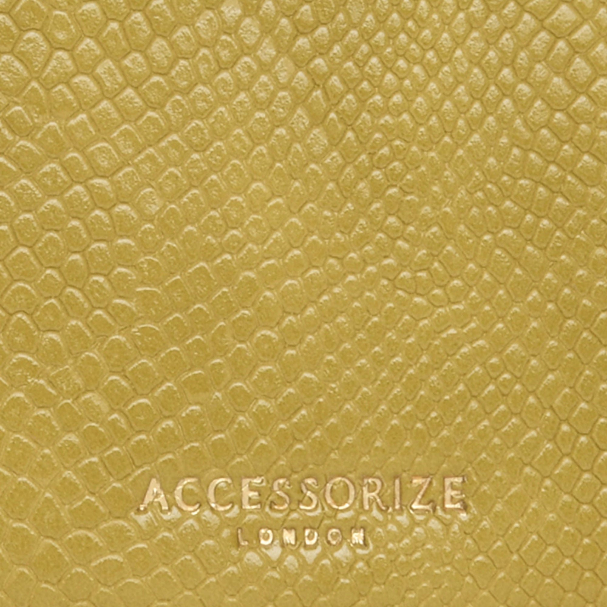 Accessorize London Women's Faux Leather Lime Crescent Coin Purse