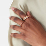 Amber Pack of 5 Ring Pack-Medium