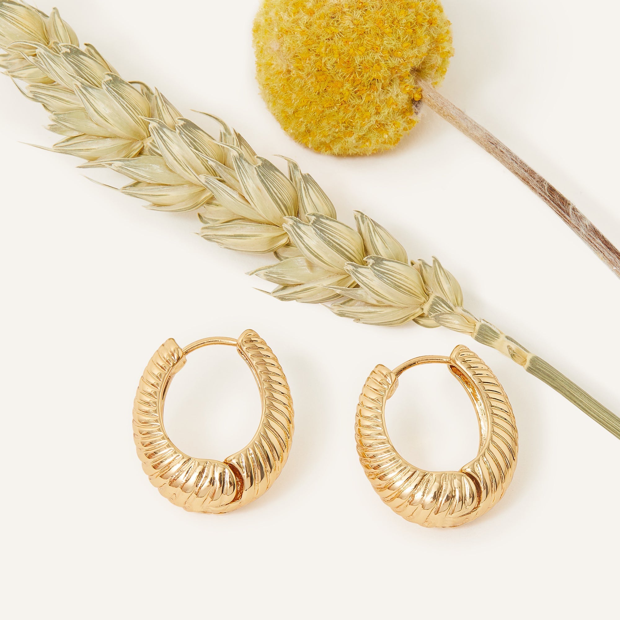 Real Gold Plated Gold Z Creole Hoops Earrings