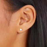 Real Gold-Plated Z And Plain Stud Earrings