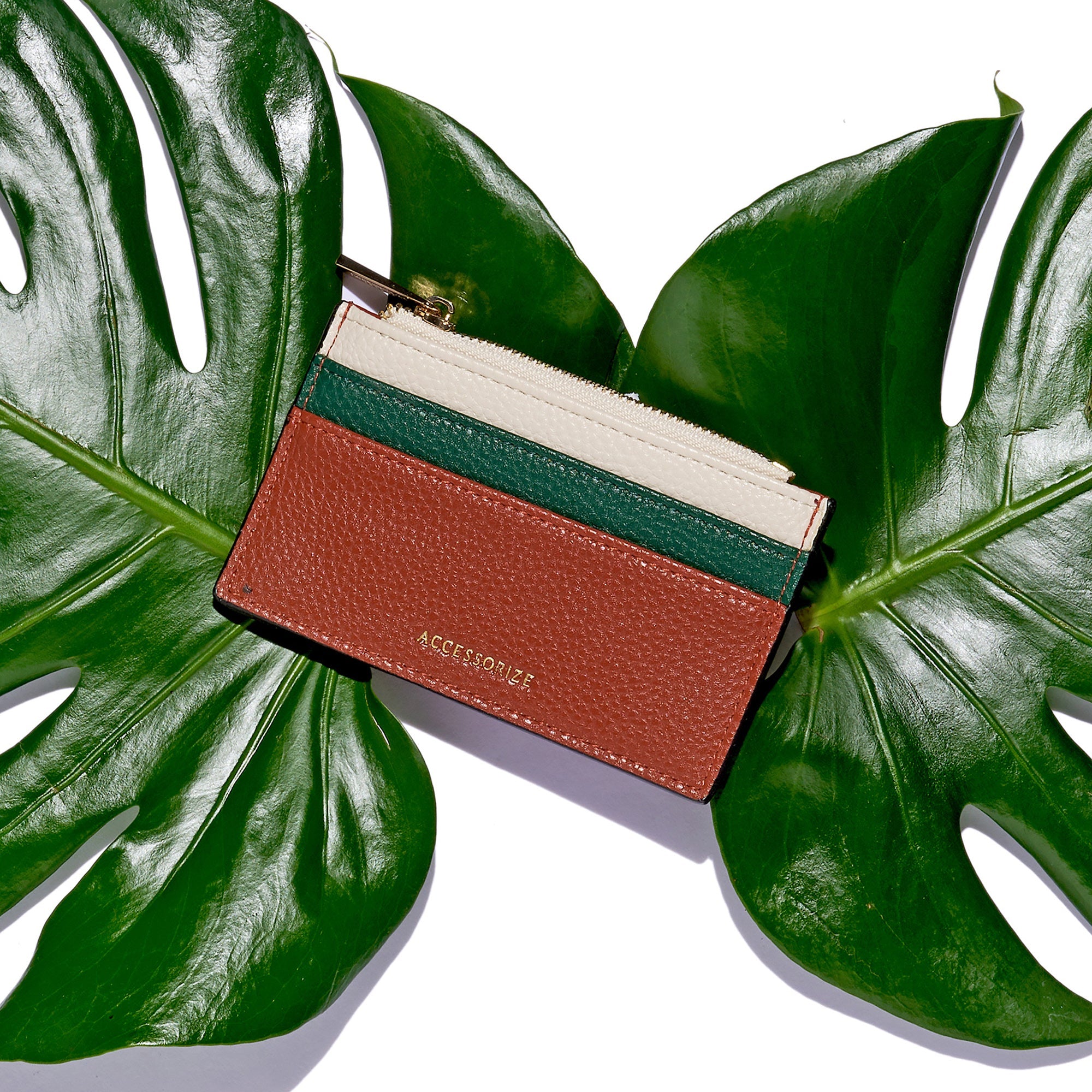 Accessorize London Women's Multi Colour Block Cardholder
