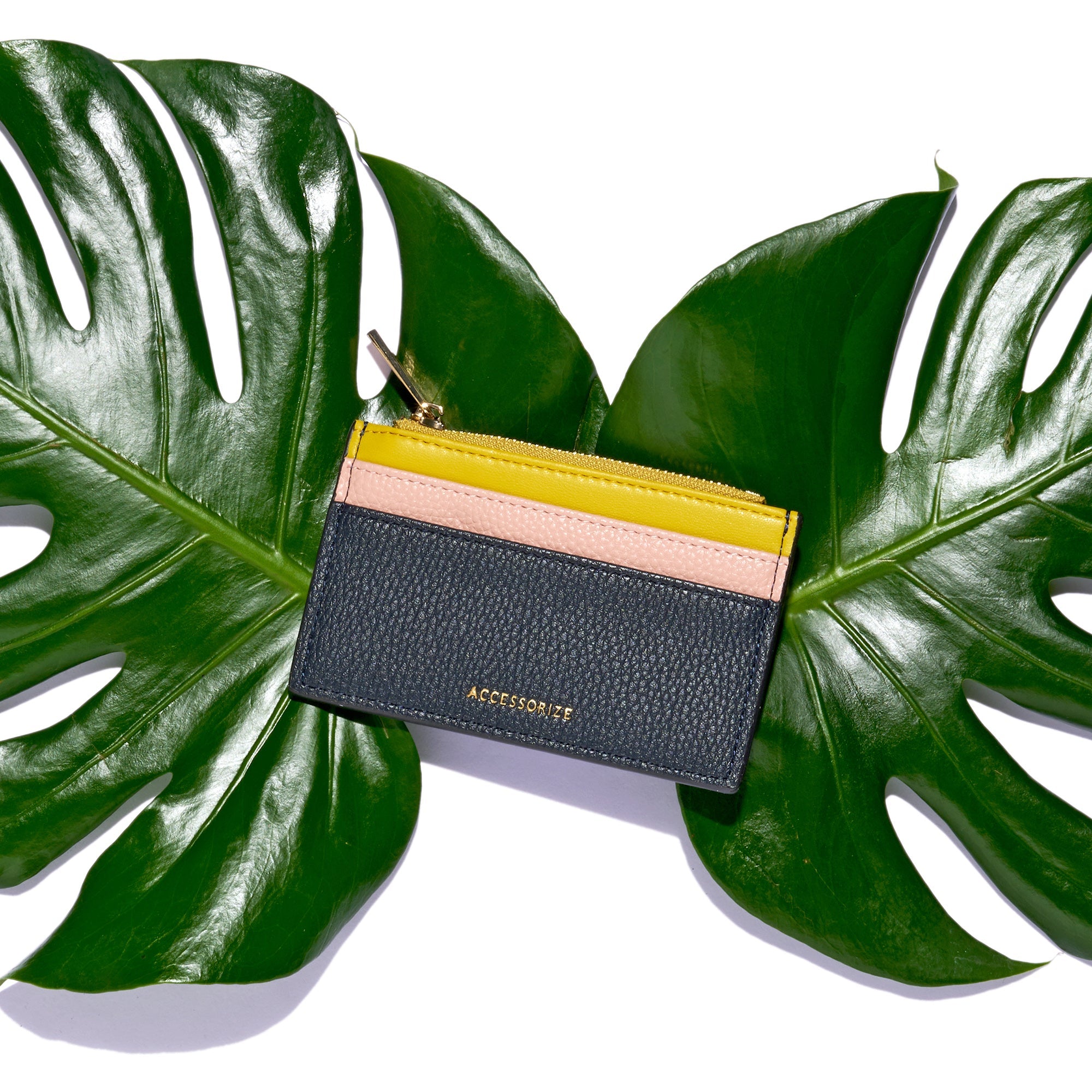 Accessorize London Women's Multi Block Cardholder