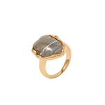Accessorize London Women's Country Retreat Gold Encased Stone Rings